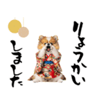 ふわもこポメラニアン子犬のお正月スタンプ（個別スタンプ：20）
