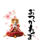 ふわもこポメラニアン子犬のお正月スタンプ（個別スタンプ：21）