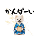 ふわもこポメラニアン子犬のお正月スタンプ（個別スタンプ：22）