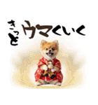 ふわもこポメラニアン子犬のお正月スタンプ（個別スタンプ：27）