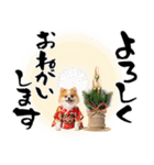 ふわもこポメラニアン子犬のお正月スタンプ（個別スタンプ：29）