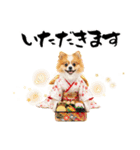 ふわもこポメラニアン子犬のお正月スタンプ（個別スタンプ：33）