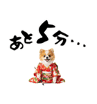 ふわもこポメラニアン子犬のお正月スタンプ（個別スタンプ：36）