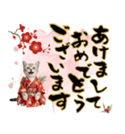 アメショ子猫の晴れ着スタンプ♡お正月2026（個別スタンプ：1）