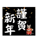 アメショ子猫の晴れ着スタンプ♡お正月2026（個別スタンプ：5）