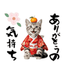 アメショ子猫の晴れ着スタンプ♡お正月2026（個別スタンプ：13）