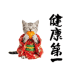 アメショ子猫の晴れ着スタンプ♡お正月2026（個別スタンプ：17）