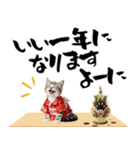 アメショ子猫の晴れ着スタンプ♡お正月2026（個別スタンプ：18）