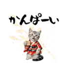 アメショ子猫の晴れ着スタンプ♡お正月2026（個別スタンプ：22）