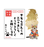 アメショ子猫の晴れ着スタンプ♡お正月2026（個別スタンプ：25）