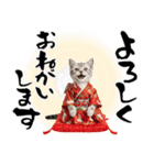 アメショ子猫の晴れ着スタンプ♡お正月2026（個別スタンプ：29）