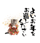 アメショ子猫の晴れ着スタンプ♡お正月2026（個別スタンプ：30）