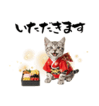 アメショ子猫の晴れ着スタンプ♡お正月2026（個別スタンプ：33）