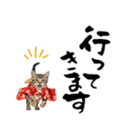 アメショ子猫の晴れ着スタンプ♡お正月2026（個別スタンプ：35）