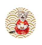 アメショ子猫の晴れ着スタンプ♡お正月2026（個別スタンプ：39）