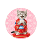 アメショ子猫の晴れ着スタンプ♡お正月2026（個別スタンプ：40）