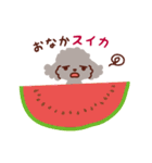 トイプードル色々_ダジャレざんまい（個別スタンプ：13）