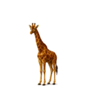 〇〇みたいやな（個別スタンプ：3）