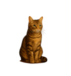 〇〇みたいやな（個別スタンプ：9）