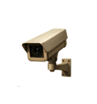 〇〇みたいやな（個別スタンプ：19）