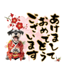 ミニチュアシュナウザー子犬のお正月（個別スタンプ：1）