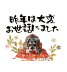 ミニチュアシュナウザー子犬のお正月（個別スタンプ：12）