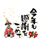 ミニチュアシュナウザー子犬のお正月（個別スタンプ：16）