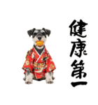 ミニチュアシュナウザー子犬のお正月（個別スタンプ：17）