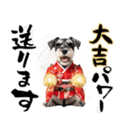 ミニチュアシュナウザー子犬のお正月（個別スタンプ：19）