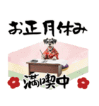 ミニチュアシュナウザー子犬のお正月（個別スタンプ：23）