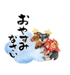 ミニチュアシュナウザー子犬のお正月（個別スタンプ：28）