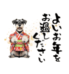 ミニチュアシュナウザー子犬のお正月（個別スタンプ：31）