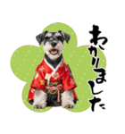 ミニチュアシュナウザー子犬のお正月（個別スタンプ：32）