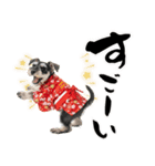 ミニチュアシュナウザー子犬のお正月（個別スタンプ：33）