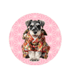 ミニチュアシュナウザー子犬のお正月（個別スタンプ：40）