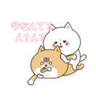 わん×にゃんカップル3♡彼女用♡お正月（個別スタンプ：40）