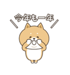 わん×にゃんカップル3♡彼氏用♡お正月（個別スタンプ：13）