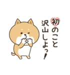 わん×にゃんカップル3♡彼氏用♡お正月（個別スタンプ：28）