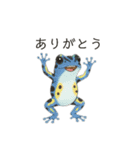 若干煽りがちなヤドクガエル（個別スタンプ：1）