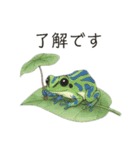 若干煽りがちなヤドクガエル（個別スタンプ：2）