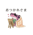 若干煽りがちなヤドクガエル（個別スタンプ：3）