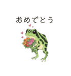 若干煽りがちなヤドクガエル（個別スタンプ：4）