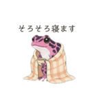 若干煽りがちなヤドクガエル（個別スタンプ：8）