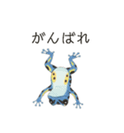 若干煽りがちなヤドクガエル（個別スタンプ：10）