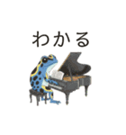 若干煽りがちなヤドクガエル（個別スタンプ：12）