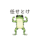 若干煽りがちなヤドクガエル（個別スタンプ：15）