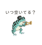 若干煽りがちなヤドクガエル（個別スタンプ：16）
