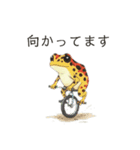 若干煽りがちなヤドクガエル（個別スタンプ：20）