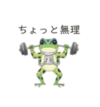 若干煽りがちなヤドクガエル（個別スタンプ：22）