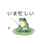 若干煽りがちなヤドクガエル（個別スタンプ：23）